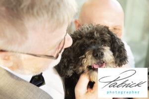 close up puppy, dog, hugs with owner, man glasses, wedding party, special guest