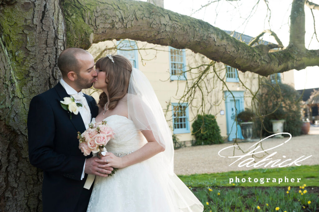 south farm background, bride and groom, tree foreground